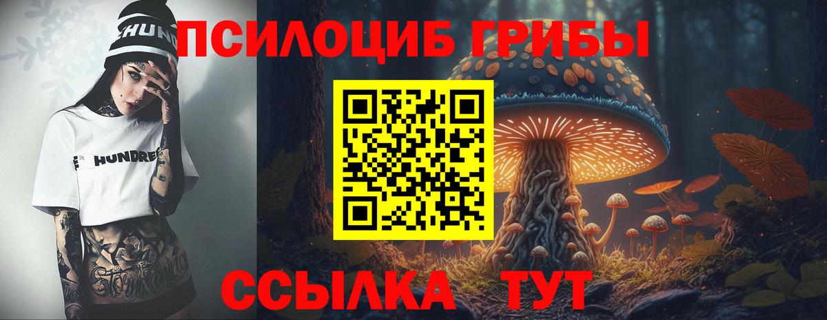 Барабинск  Галлюциногенные грибы прущие грибы  Вход с VPN 